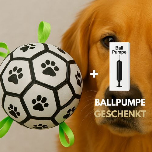 PawTastic™ Hundeball