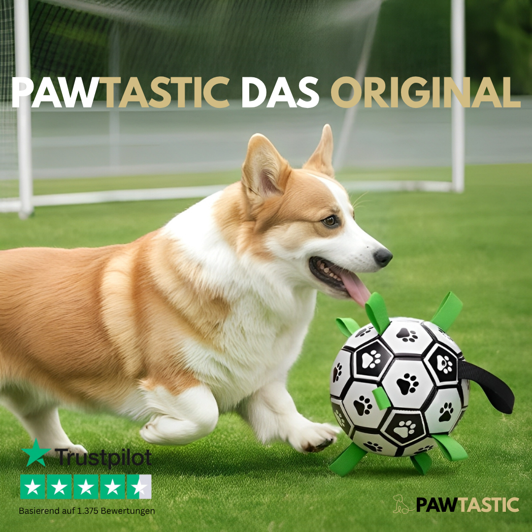 PawTastic™ Hundeball