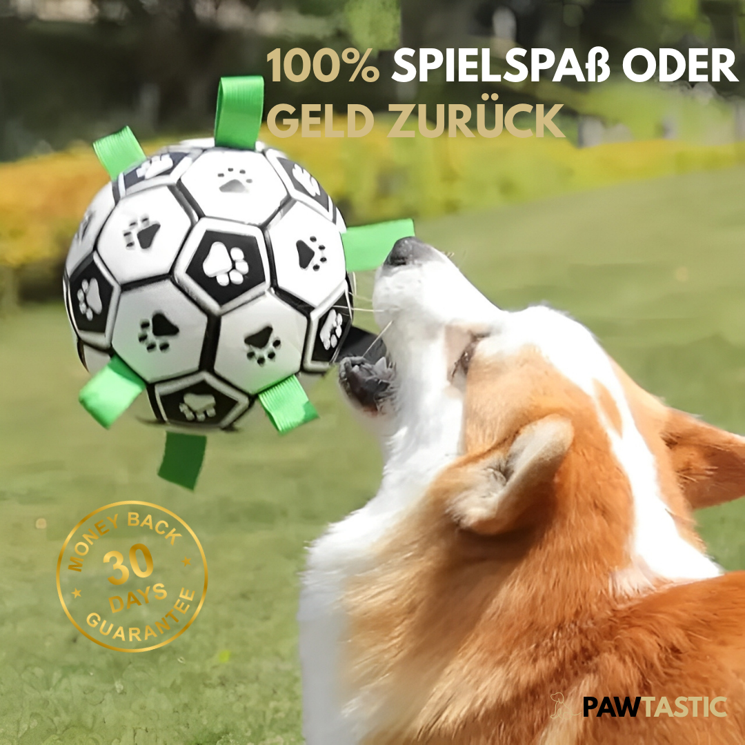PawTastic™ Hundeball