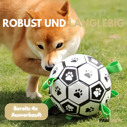 PawTastic™ Hundeball